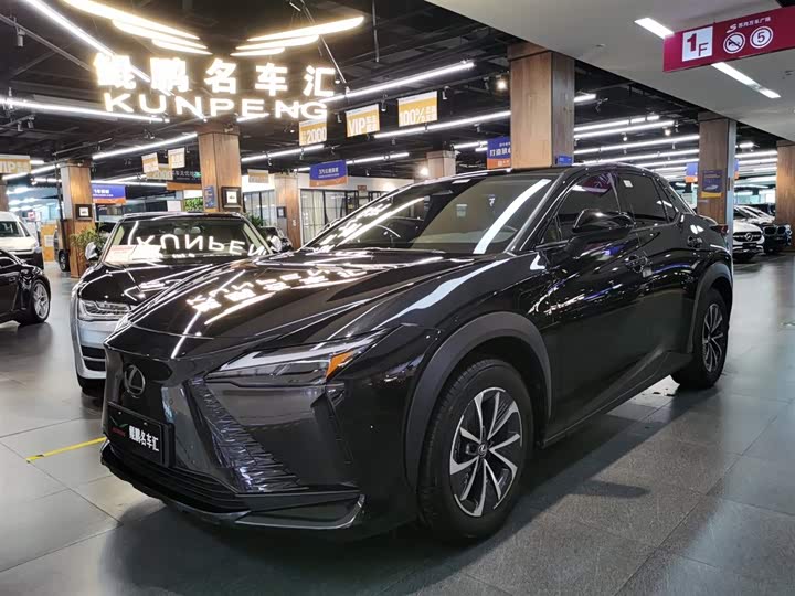 Lexus RZ 2023 2023款 300e 长续航 纵享版