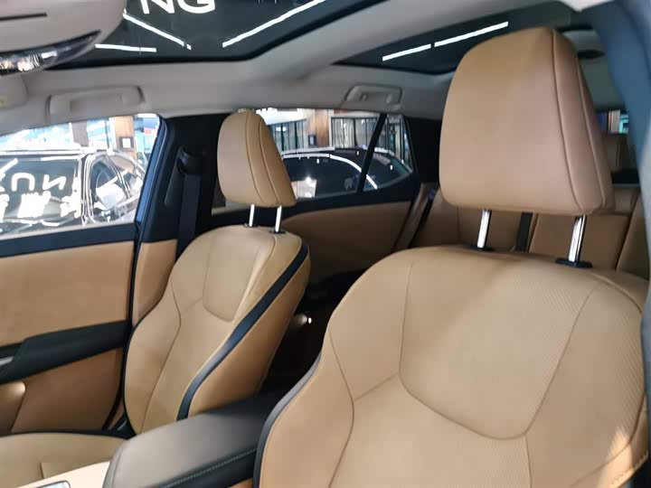 Lexus RZ 2023 2023款 300e 长续航 纵享版