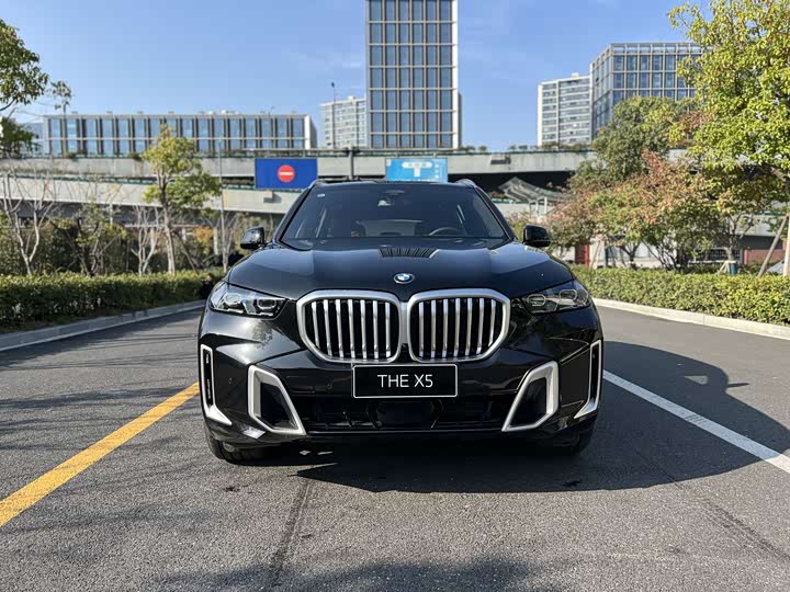 BMW X5 2023 2023款 xDrive 40Li M运动套装