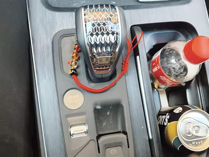 GAC Trumpchi GS8 2025 2025款 领航系列 2.0TGDI 两驱豪华版 5座