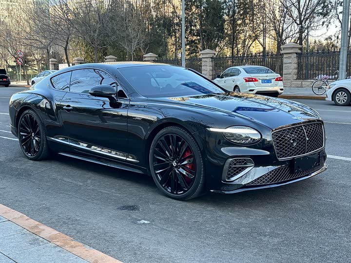 Bentley Continental GT Hybrid 2025 2025款 GT 极致版