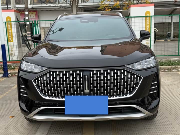 Wey Mocha 2021 2021款 2.0T 两驱特浓版