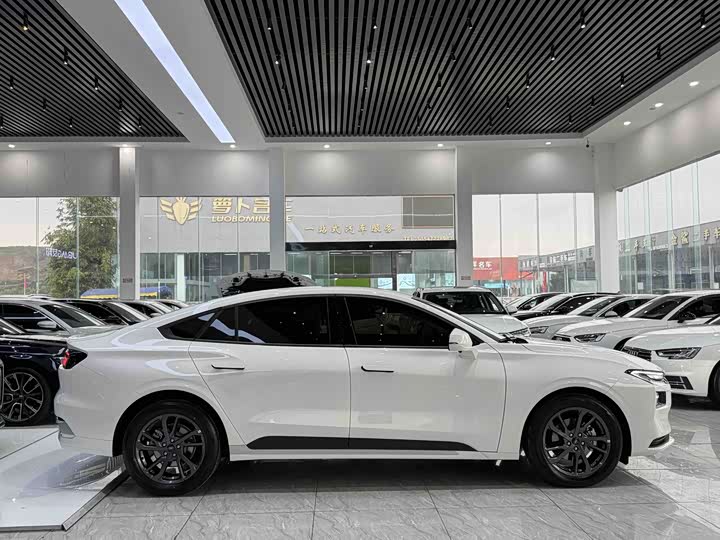 Ford Mondeo 2025 2025款 2.0T EcoBoost 豪华型