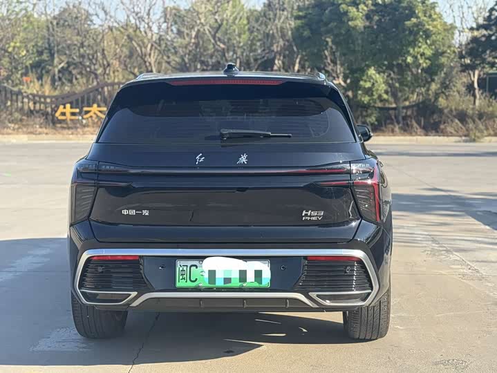 Hongqi HS3 Hybrid 2024 2024款 115km 劲为版