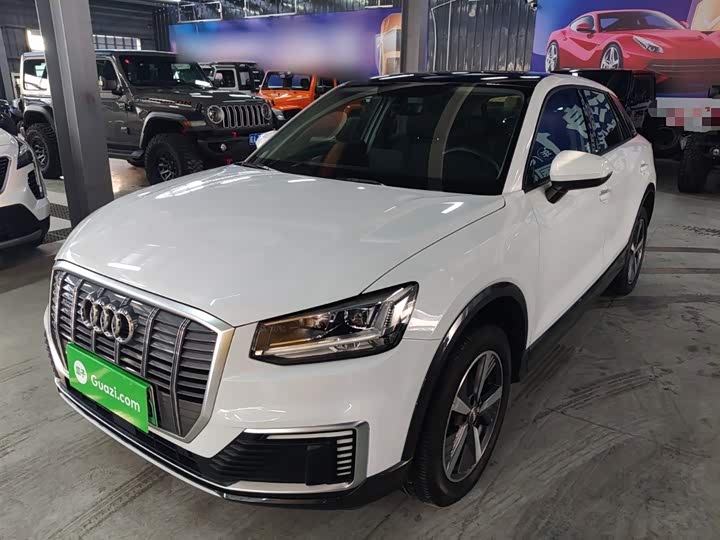 Audi Q2L e-tron 2019 2019款 Q2L e-tron 纯电智享型