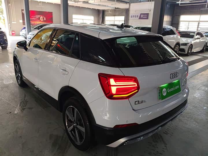 Audi Q2L e-tron 2019 2019款 Q2L e-tron 纯电智享型