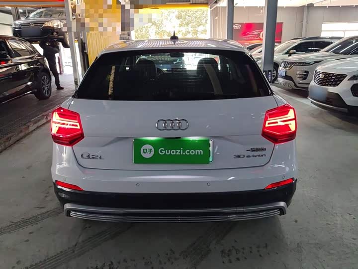 Audi Q2L e-tron 2019 2019款 Q2L e-tron 纯电智享型