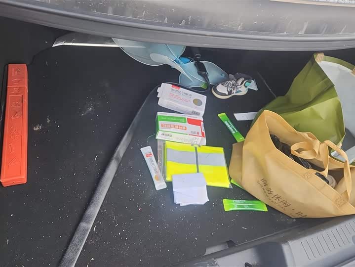 Changan Yida 2023 2023款 蓝鲸NE 1.5T GDI DCT领航型