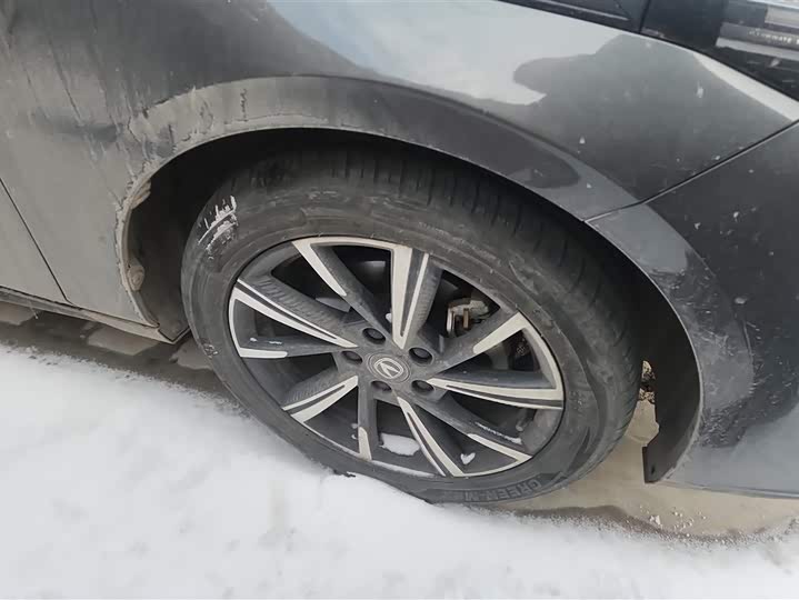 Changan Yida 2023 2023款 蓝鲸NE 1.5T GDI DCT领航型