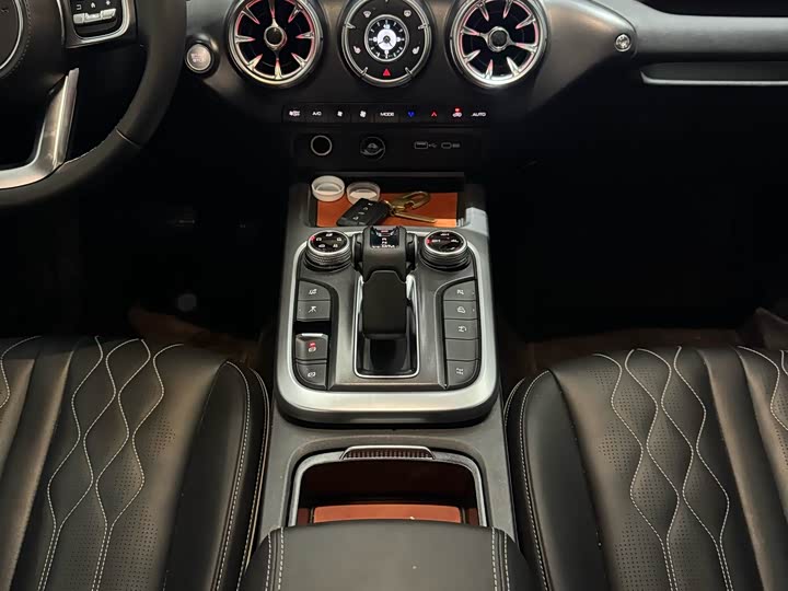 Tank 300 2024 2024款 2.0T 挑战者