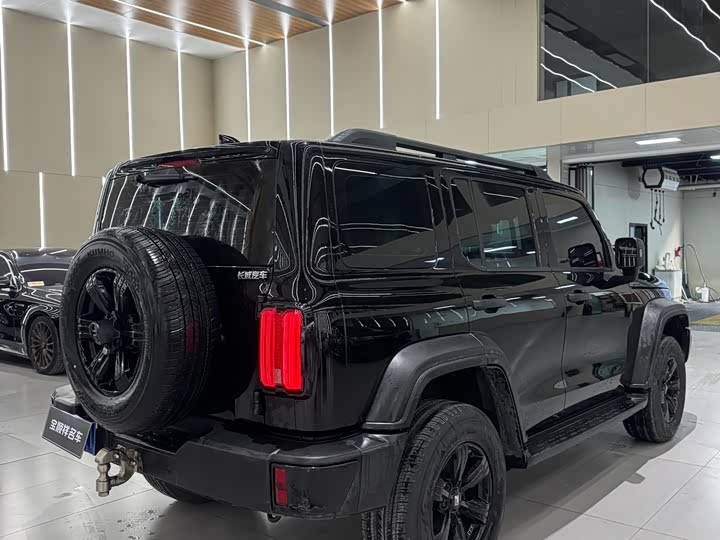 Tank 300 2024 2024款 2.0T 挑战者