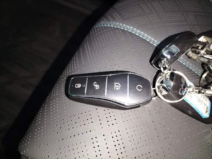 BYD Yuan Plus 2025 2025款 智驾版 510KM 超越型