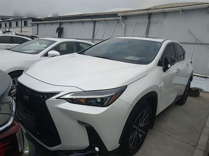 Lexus NX 2023 2023款 260 前驱 创悦版