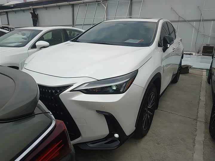 Lexus NX 2023 2023款 260 前驱 创悦版