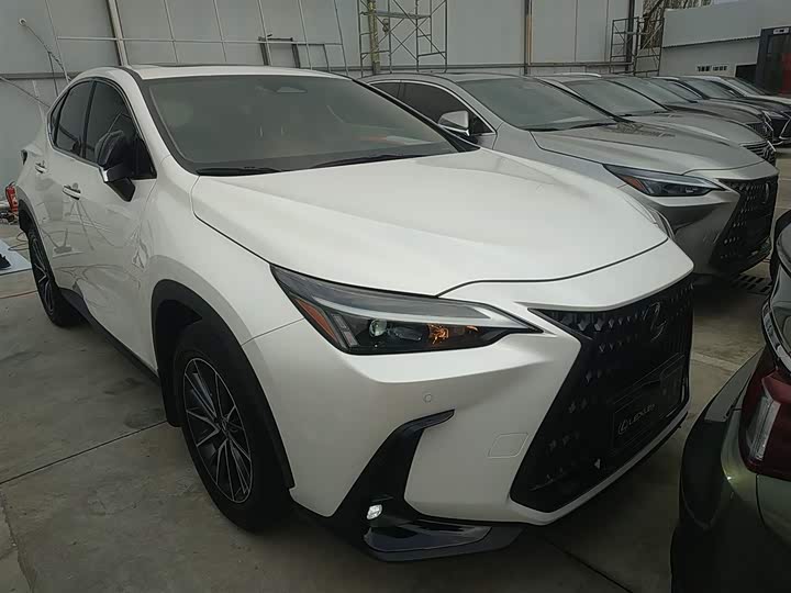Lexus NX 2023 2023款 260 前驱 创悦版