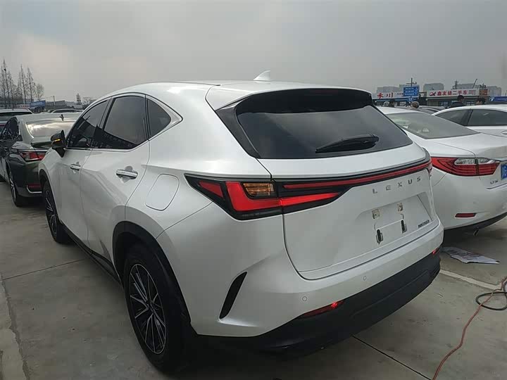 Lexus NX 2023 2023款 260 前驱 创悦版