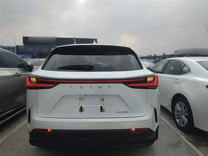 Lexus NX 2023 2023款 260 前驱 创悦版