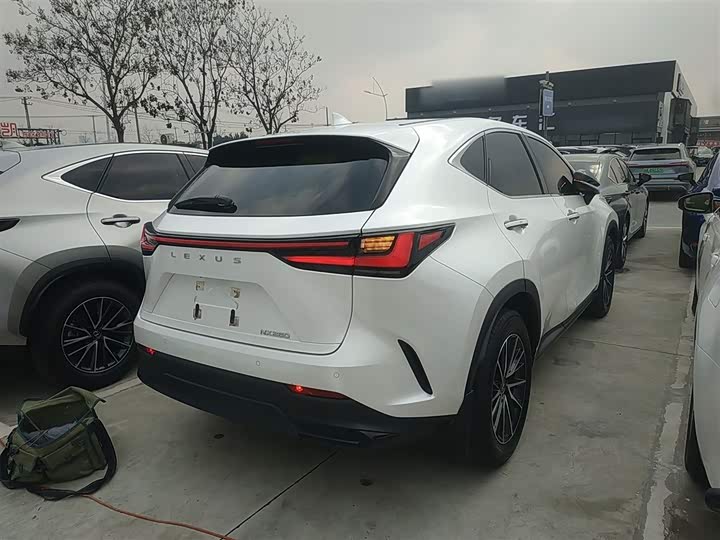 Lexus NX 2023 2023款 260 前驱 创悦版