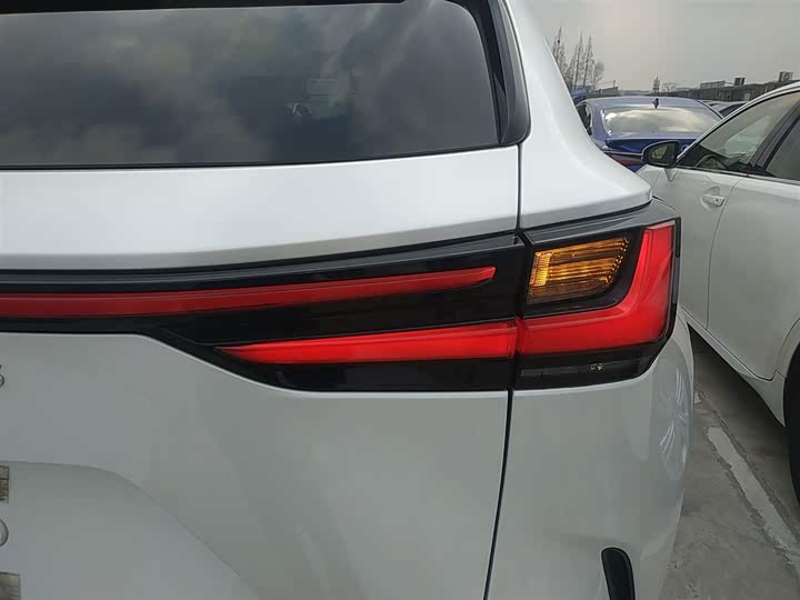 Lexus NX 2023 2023款 260 前驱 创悦版