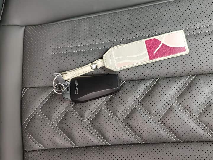 BYD Song L DM-i Hybrid 2025 2025款 智驾版 160km 卓越型