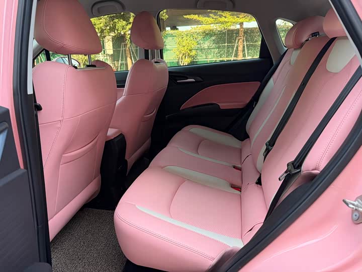 Hozon V 2022 2022款 潮 400 Lite 粉色定制款