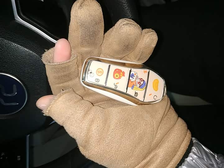 BYD Yuan Pro 2023 2023款 401KM豪华型