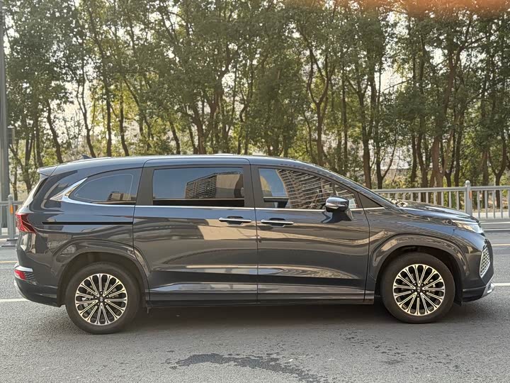 Hyundai Custo 2024 2024款 270TGDi LUX 尊贵版