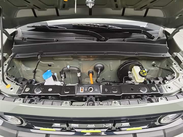 Geely Galaxy Panda Mini 2025 2025款 210km 熊猫骑士