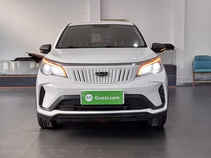 Geely Geometry EX3 2021 2021款 坚强牛牛