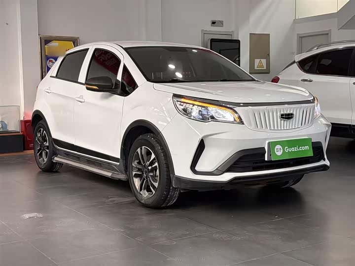 Geely Geometry EX3 2021 2021款 坚强牛牛