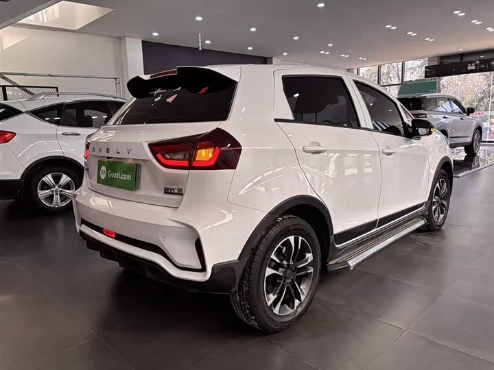 Geely Geometry EX3 2021 2021款 坚强牛牛