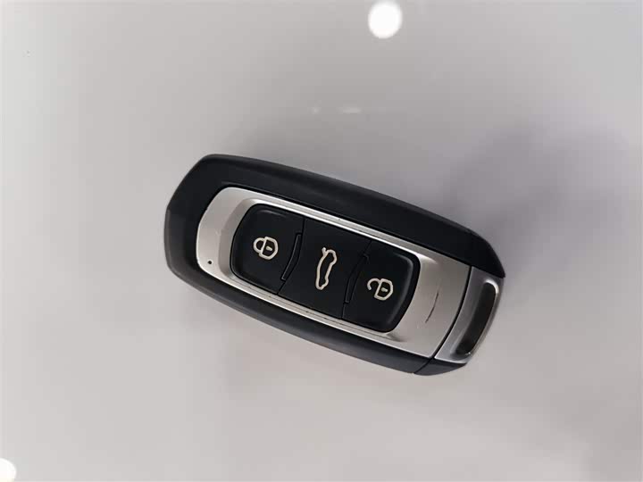 Geely Geometry EX3 2021 2021款 坚强牛牛