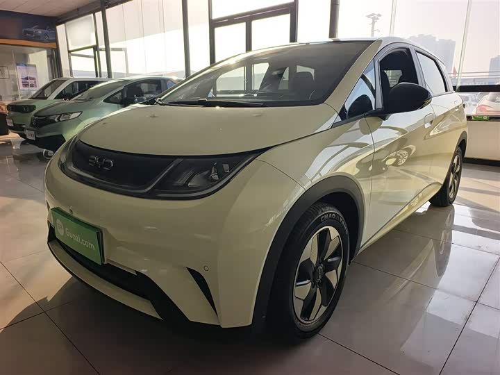 BYD Dolphin 2025 2025款 420km 自由版