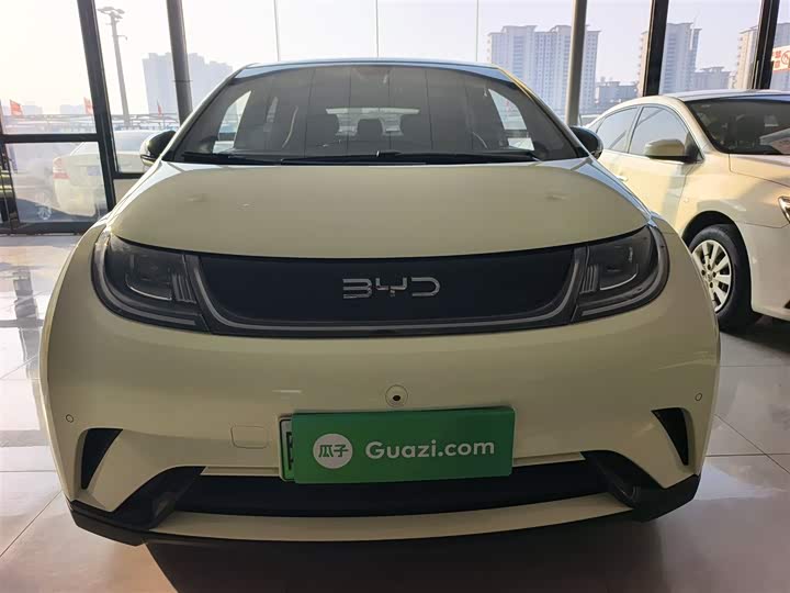 BYD Dolphin 2025 2025款 420km 自由版