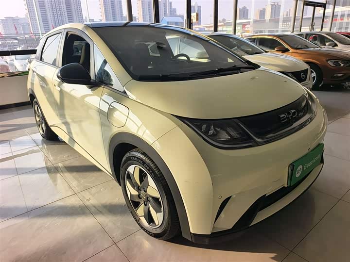 BYD Dolphin 2025 2025款 420km 自由版