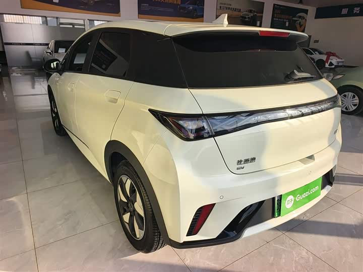 BYD Dolphin 2025 2025款 420km 自由版