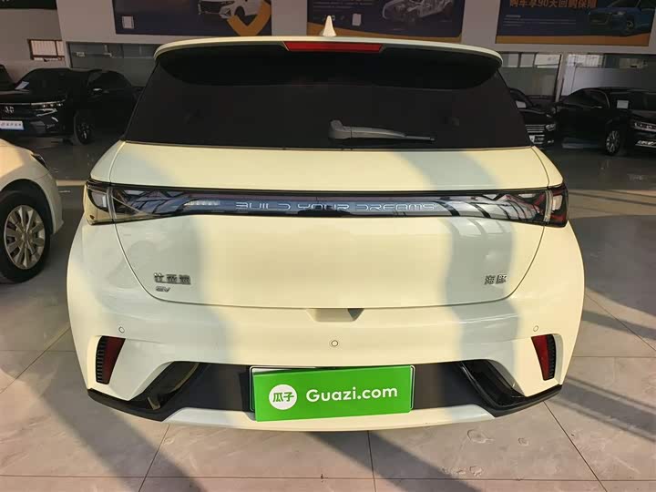 BYD Dolphin 2025 2025款 420km 自由版