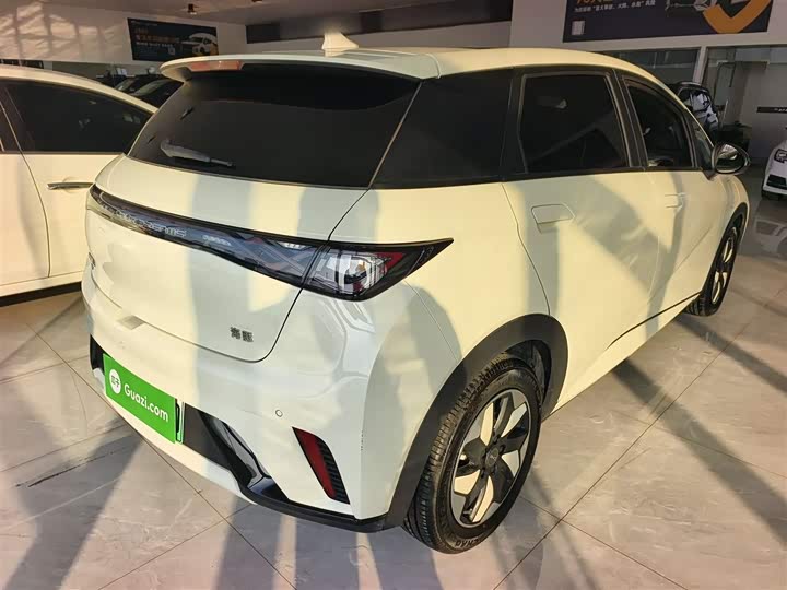 BYD Dolphin 2025 2025款 420km 自由版