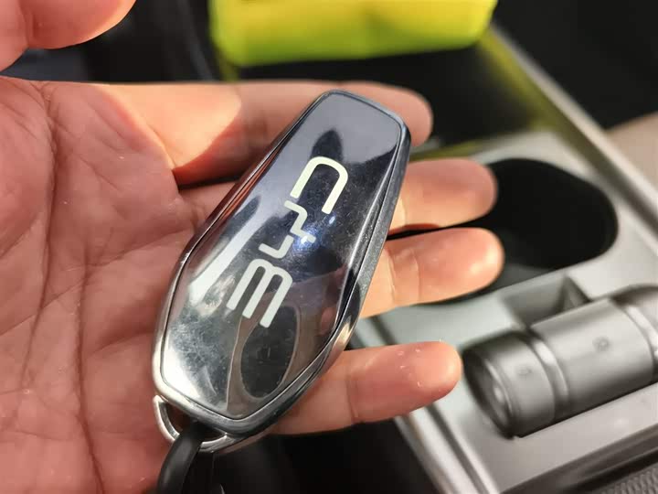 BYD Dolphin 2025 2025款 420km 自由版