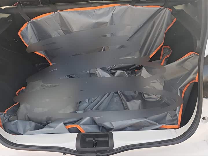 Dongfeng Nammi Nano EX1 Pro 2022 2022款 改款 PRO 悦世型