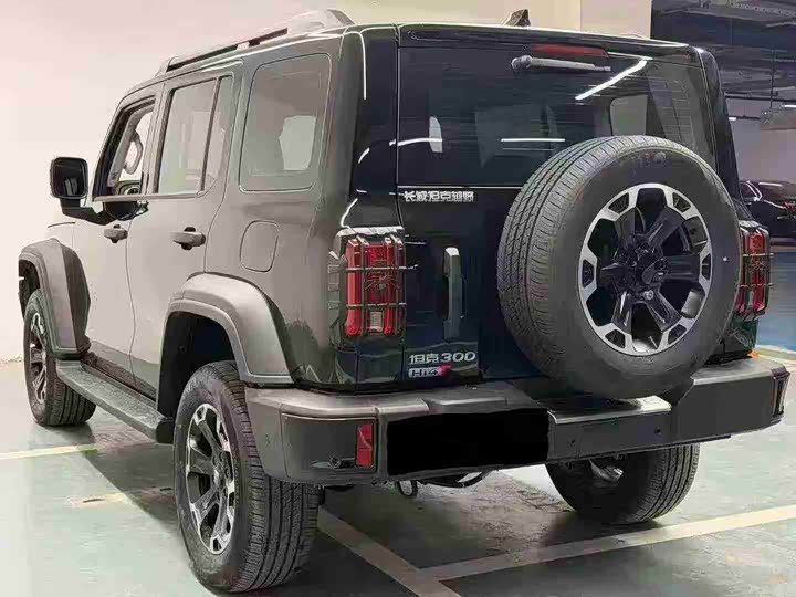 Tank 300 Hybrid 2025 2025款 Hi4-T 37.1kWh