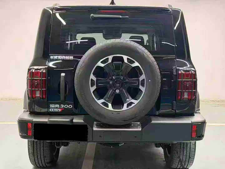 Tank 300 Hybrid 2025 2025款 Hi4-T 37.1kWh