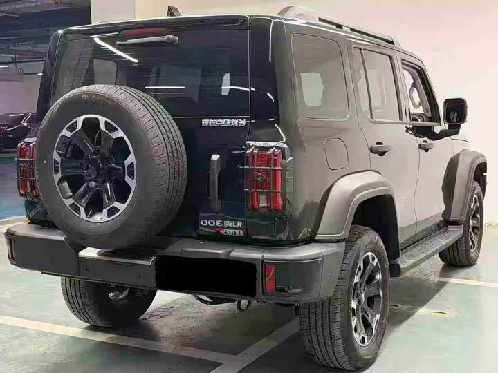 Tank 300 Hybrid 2025 2025款 Hi4-T 37.1kWh