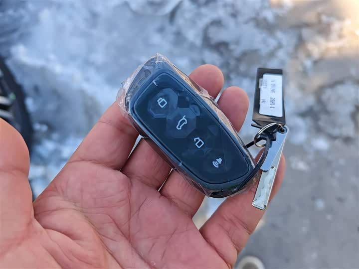 Haval Dargo 2026 2026款 1.5T DCT边牧版