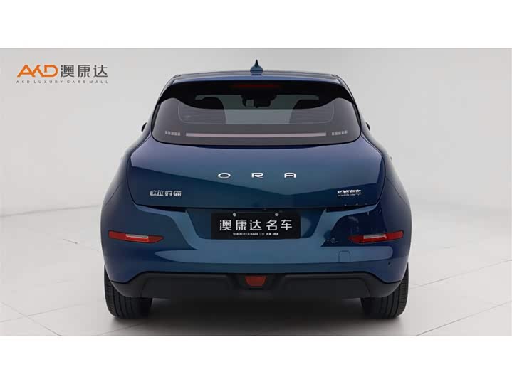 Ora Good Cat (03) 2024 2024款 401km 尊荣型 135kW