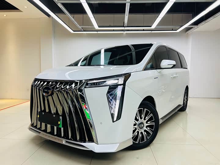 GAC Trumpchi E9 2024 2024款 E9 贺岁版