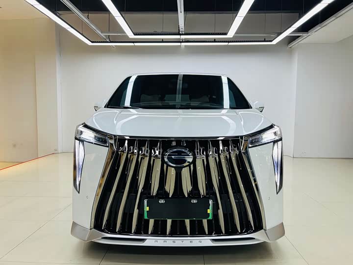 GAC Trumpchi E9 2024 2024款 E9 贺岁版