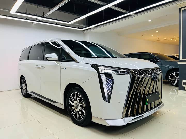 GAC Trumpchi E9 2024 2024款 E9 贺岁版