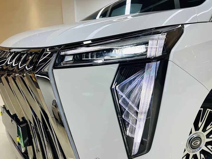 GAC Trumpchi E9 2024 2024款 E9 贺岁版