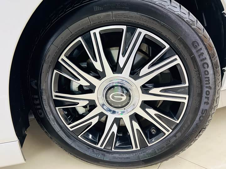 GAC Trumpchi E9 2024 2024款 E9 贺岁版